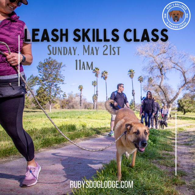 Leash Class
